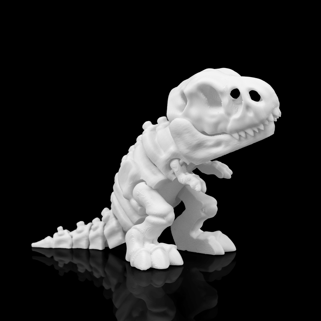 Snodabili - DINOSAURI