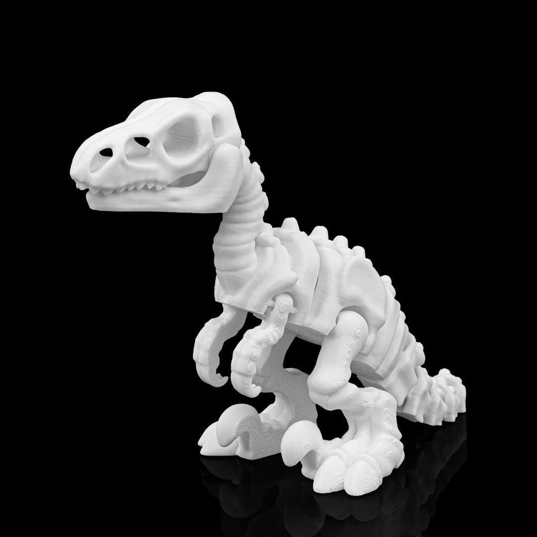 Snodabili - DINOSAURI